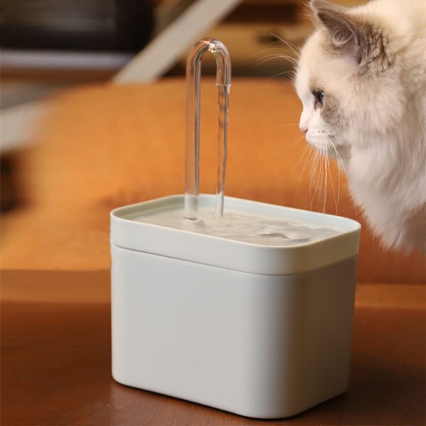 Cat water fountain